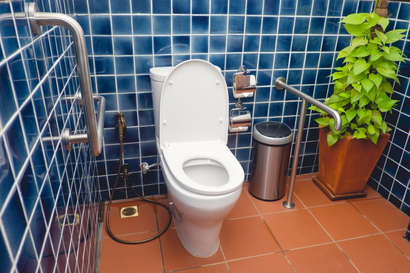 Accessible Toilet Installation