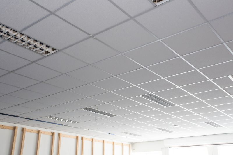 Office Ceiling Replacement